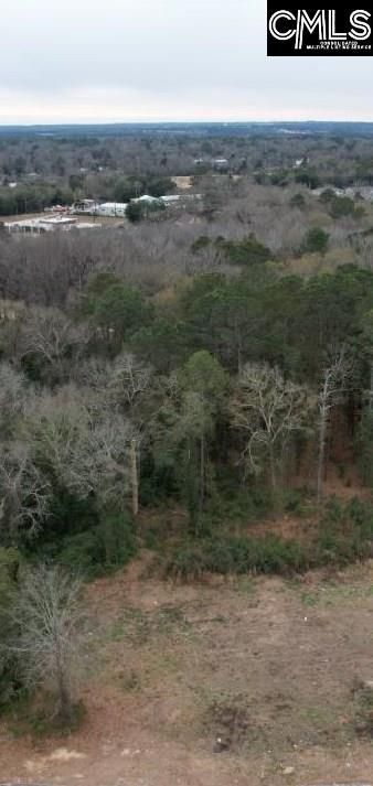 0 Popular Street Photo 7