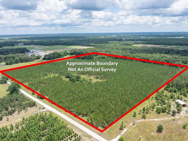 168TH STREET, McAlpin, FL 32062