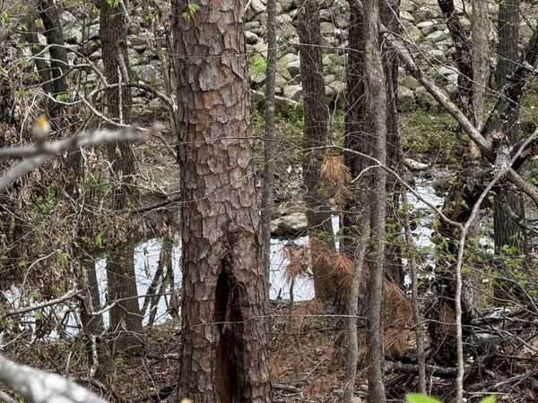 Lot 31 FOREST VIEW Circle, Unit lot 31, Hot Springs, AR 71913