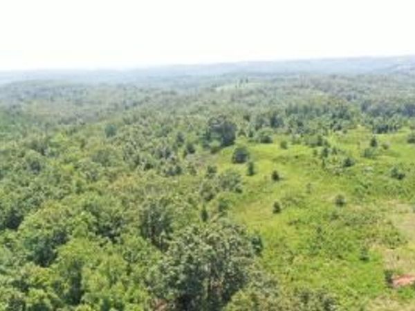 4292 Tomahawk Slab Road, Gilbert, AR 72675