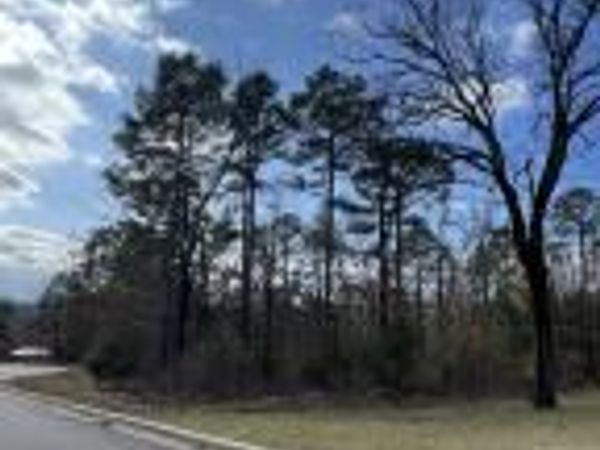 402 Castlegate Loop, Russellville, AR 72802