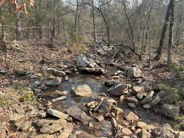 Cold Springs Road, Waldron, AR 72958