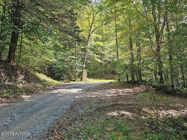 73.87ac Mill Hollow Rd, Tazewell, TN 37879
