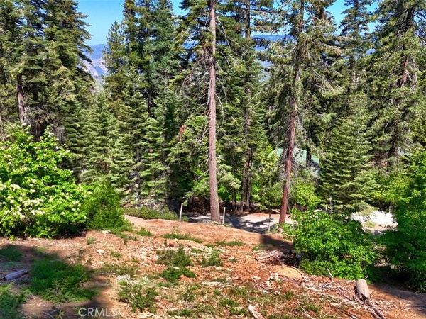 7420 Henness Ridge Road, Yosemite, CA 95389