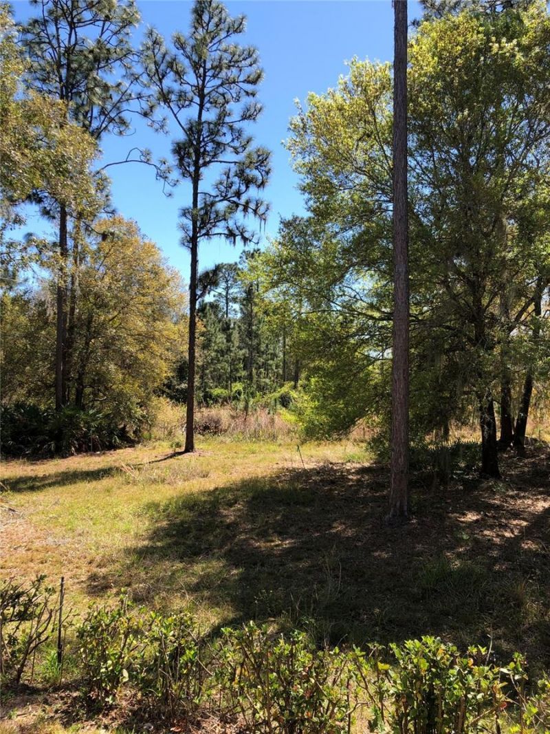 2301 Avellino Avenue, Saint Cloud, FL 34771 Photo