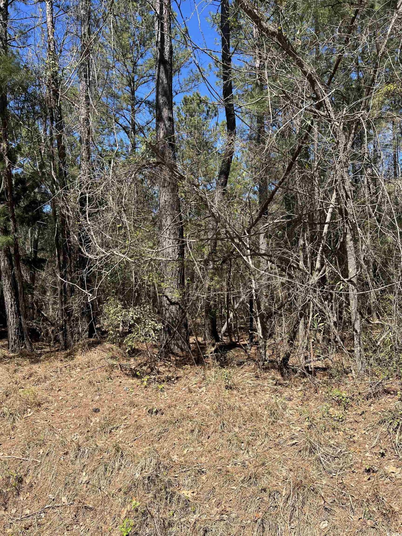 Lot 9 Samworth Loop Photo 10