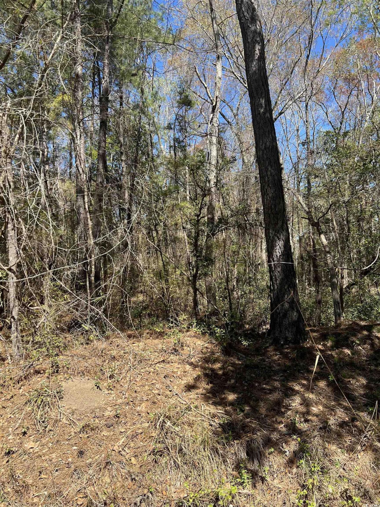 Lot 9 Samworth Loop Photo 11
