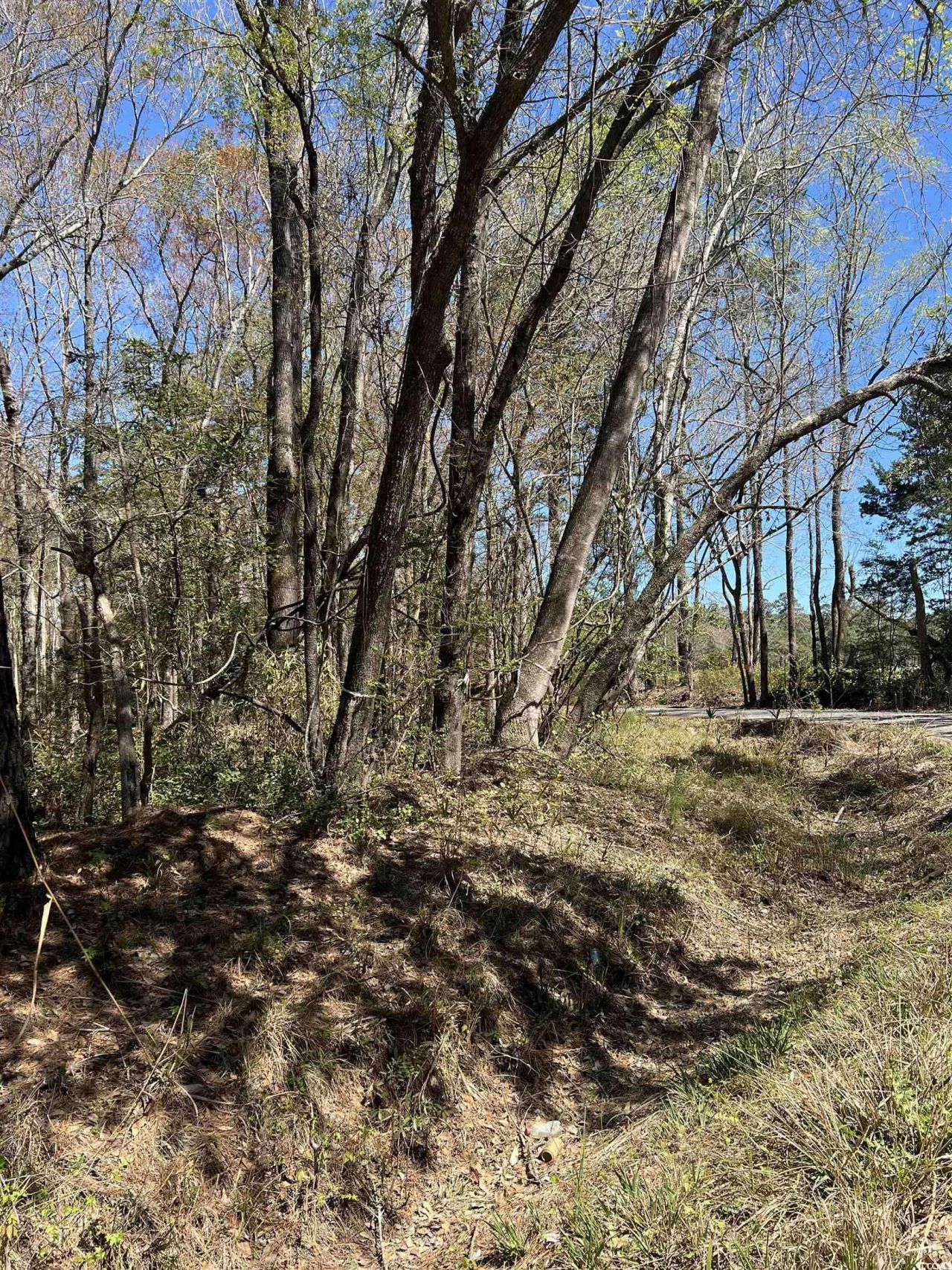 Lot 9 Samworth Loop Photo 12