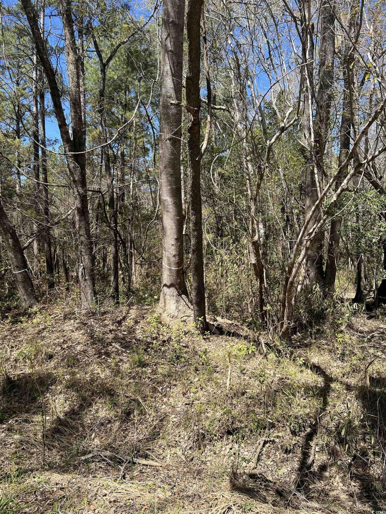 Lot 9 Samworth Loop Photo 13