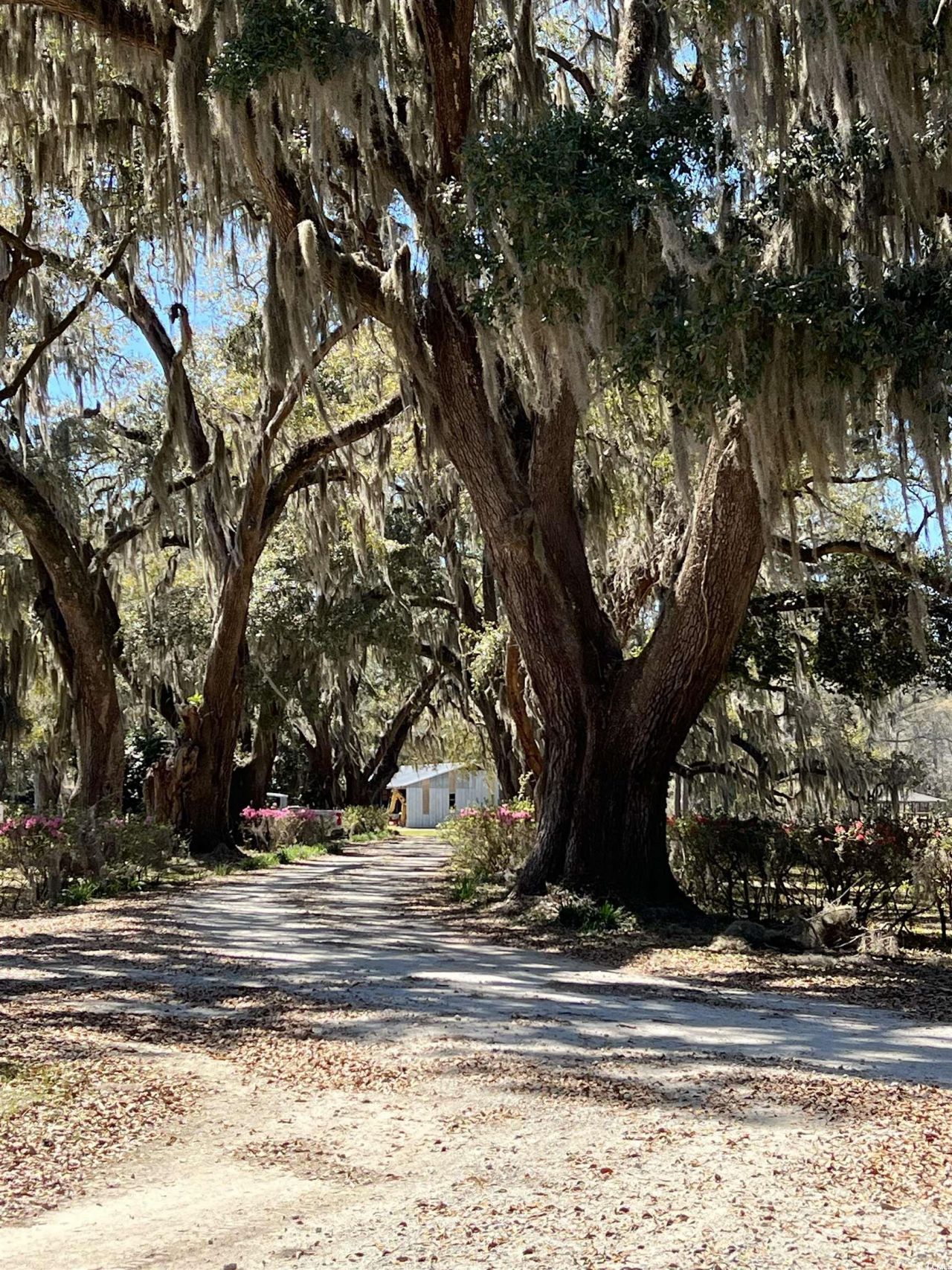 Lot 9 Samworth Loop Photo 15