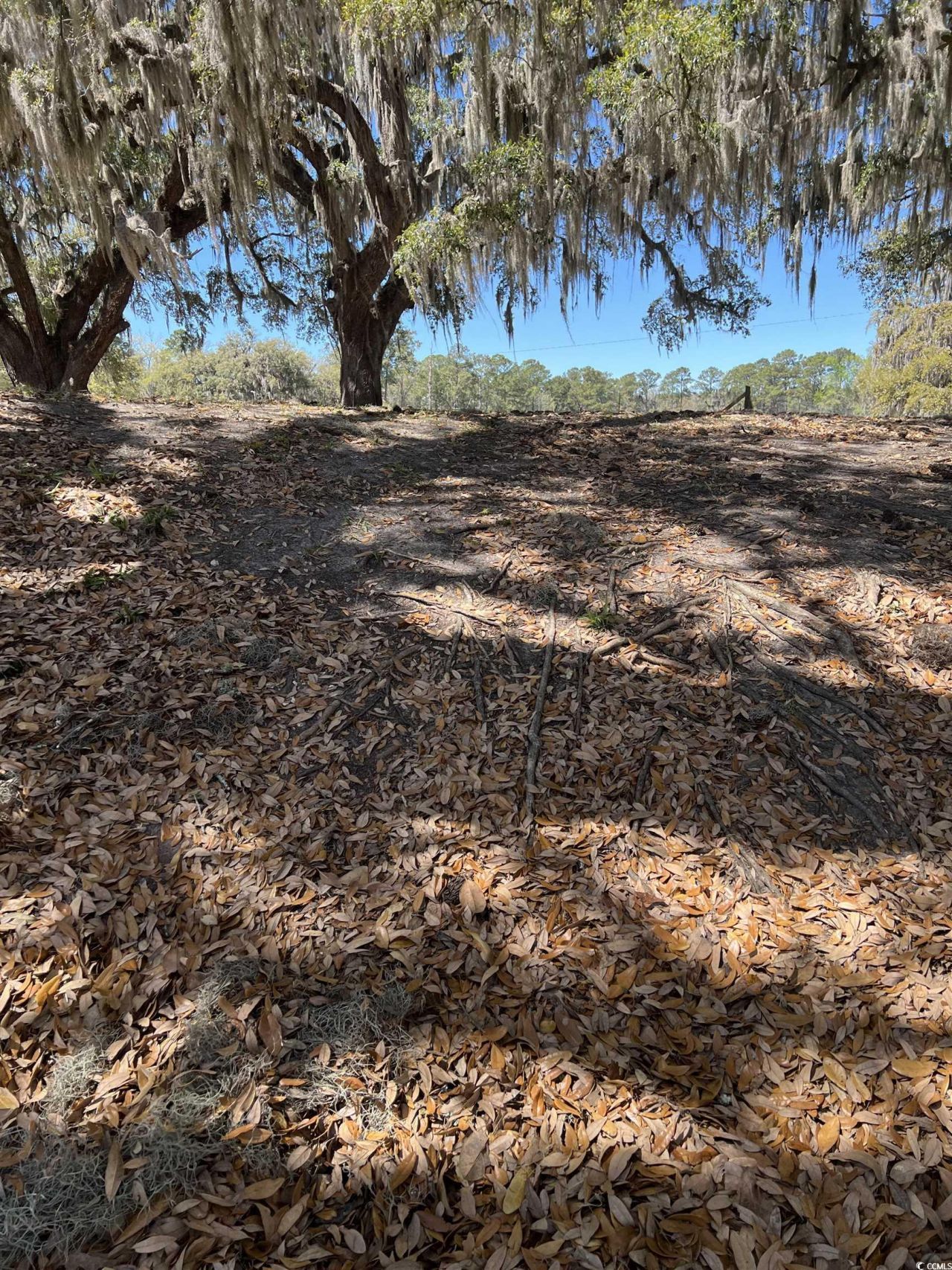 Lot 9 Samworth Loop Photo 21