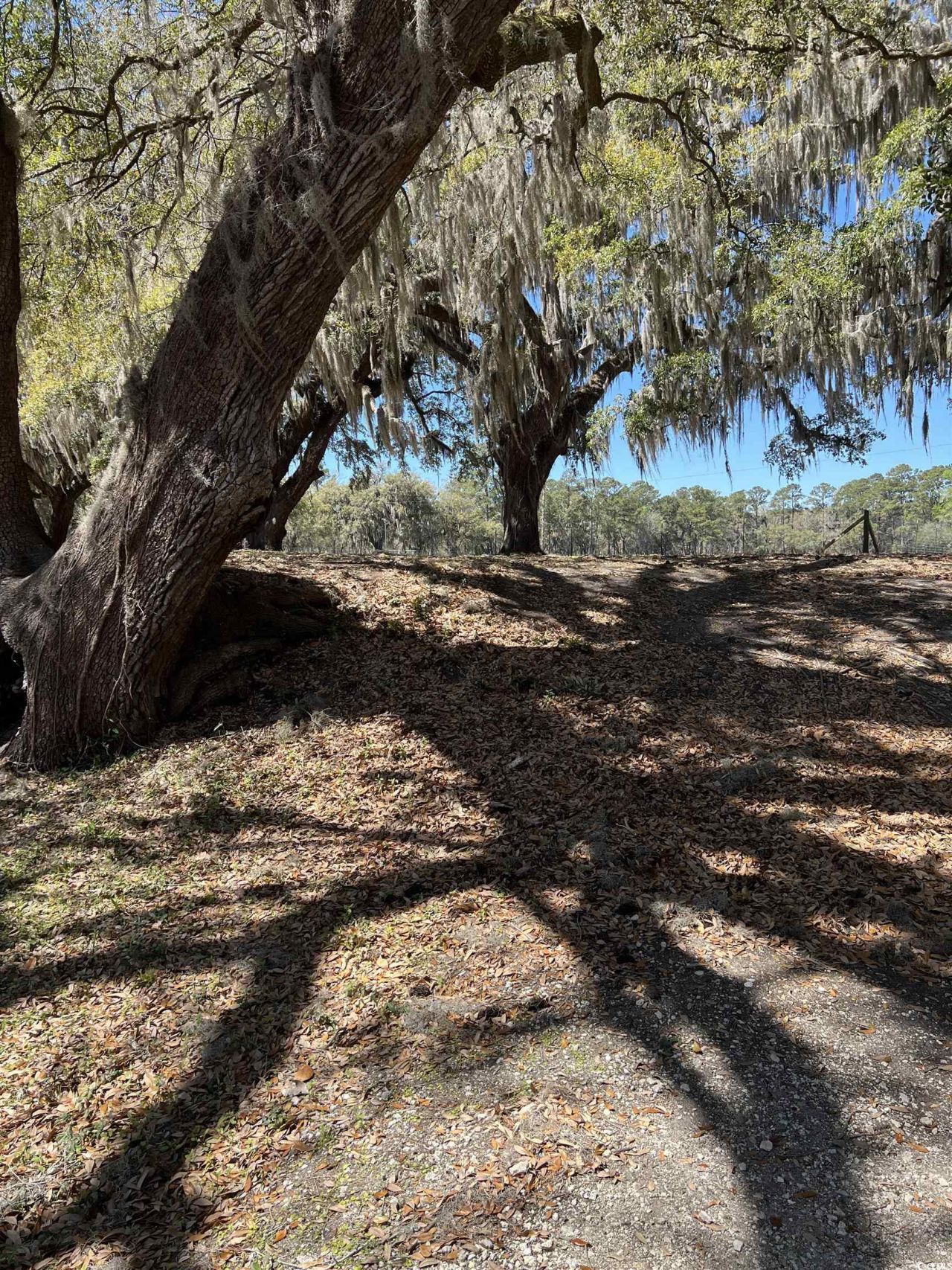 Lot 9 Samworth Loop Photo 22