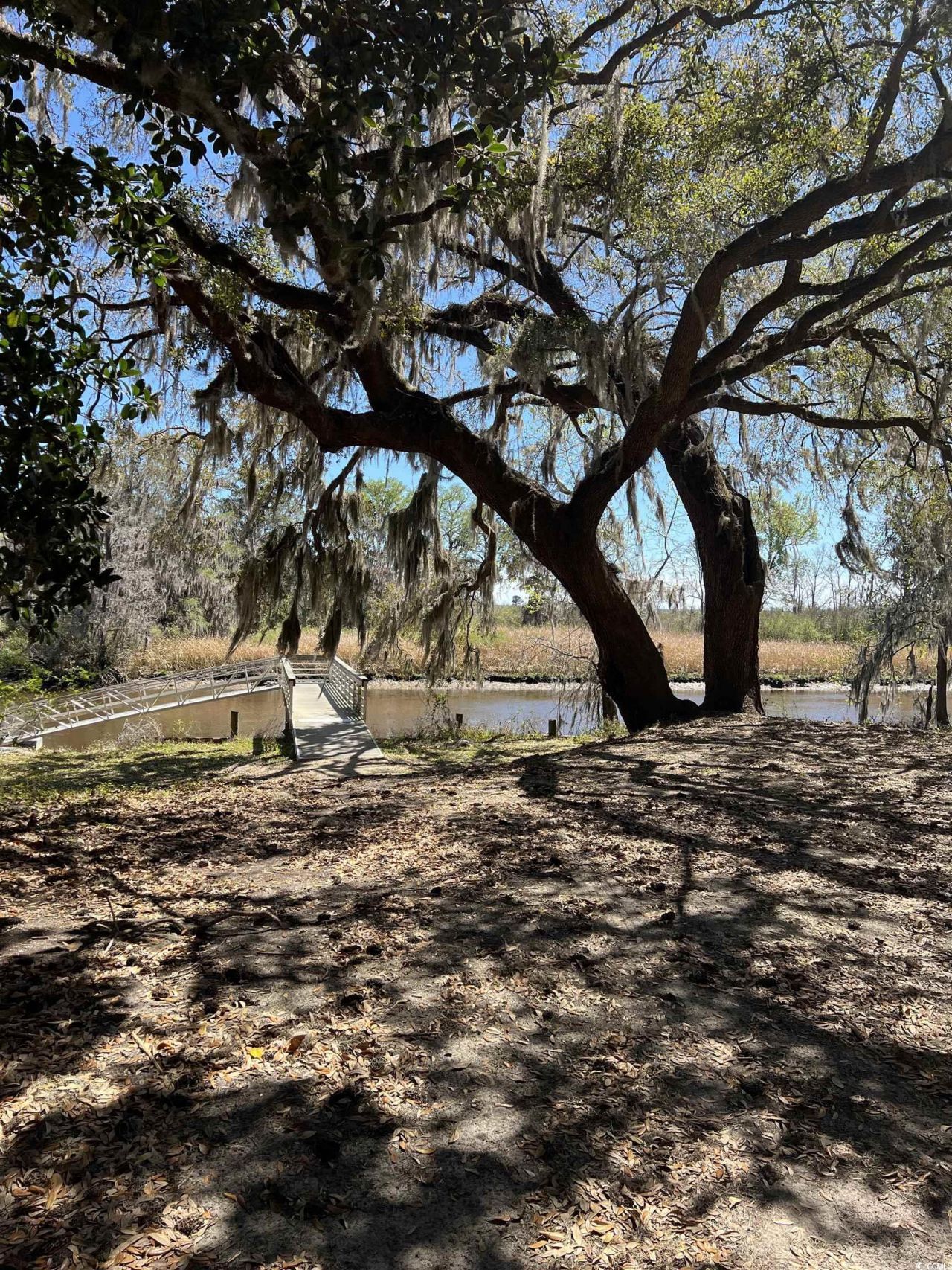 Lot 9 Samworth Loop Photo 24