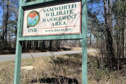 Lot 9 Samworth Loop photo 4