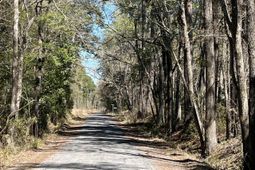 Lot 9 Samworth Loop photo 4