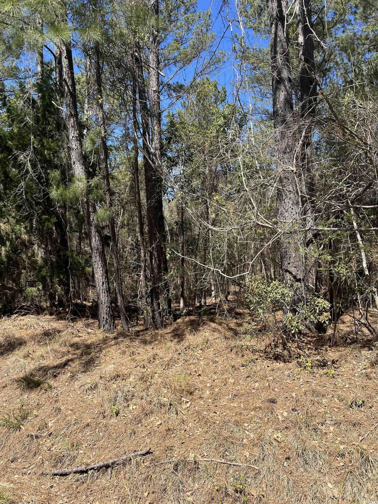 Lot 9 Samworth Loop Photo 9