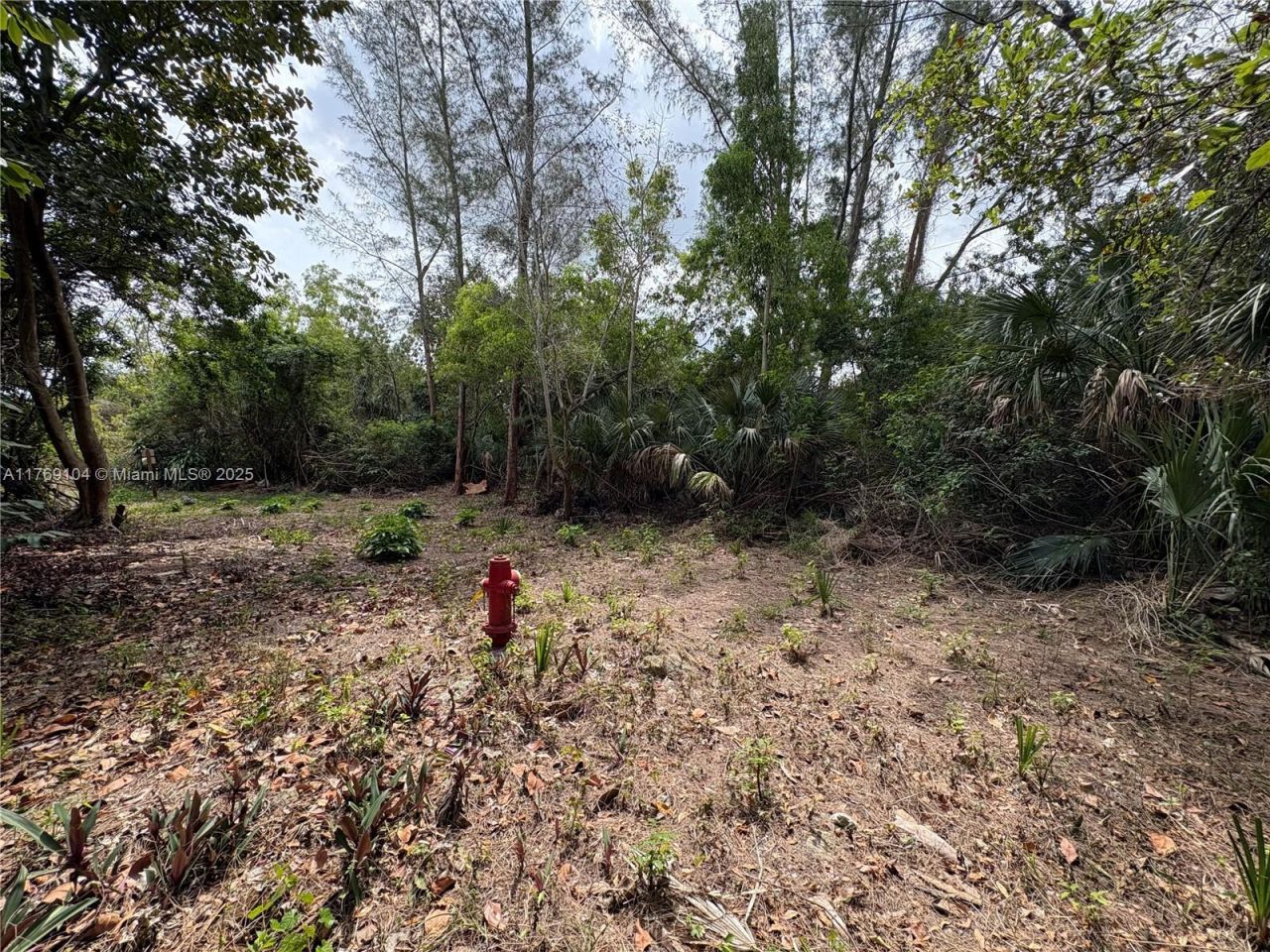 30xx Forest Hills Dr, Coral Springs, FL 33065 Photo