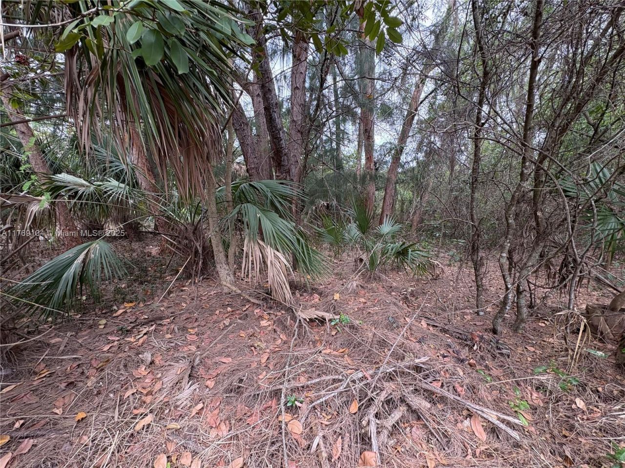 30xx Forest Hills Dr, Coral Springs, FL 33065 Photo