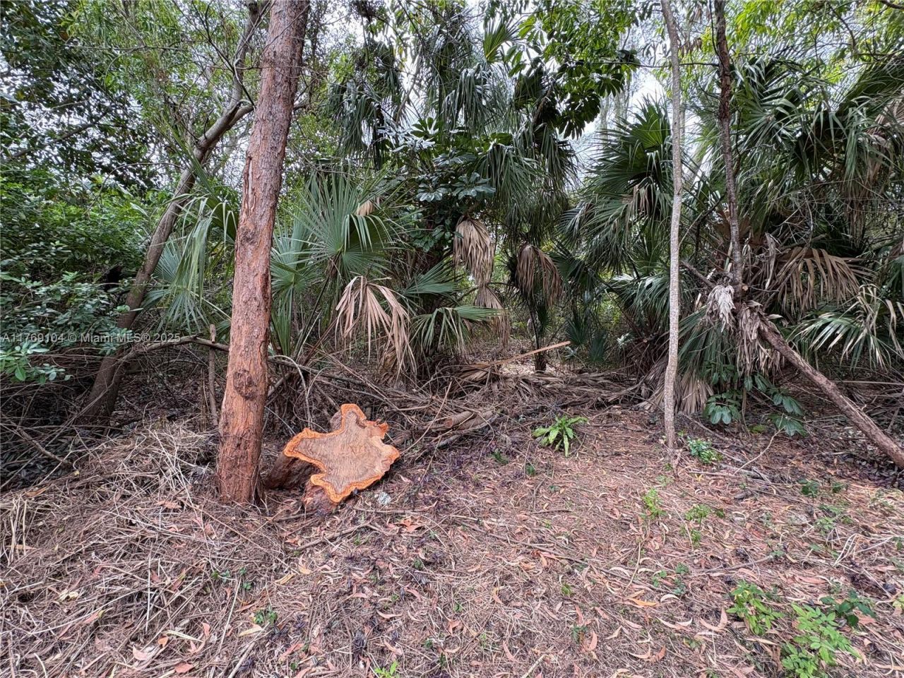 30xx Forest Hills Dr, Coral Springs, FL 33065 Photo