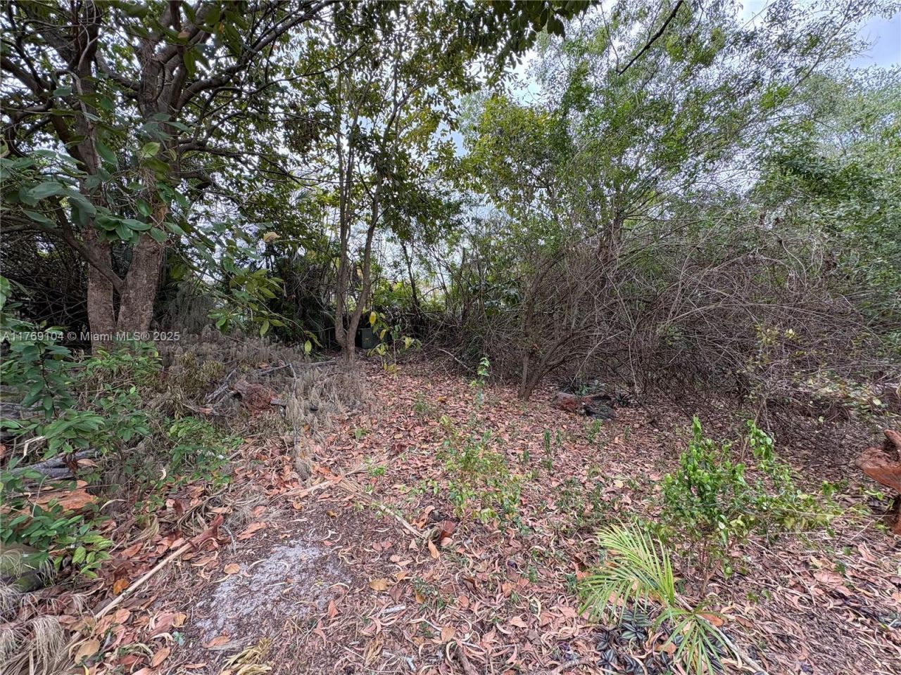 30xx Forest Hills Dr, Coral Springs, FL 33065 Photo