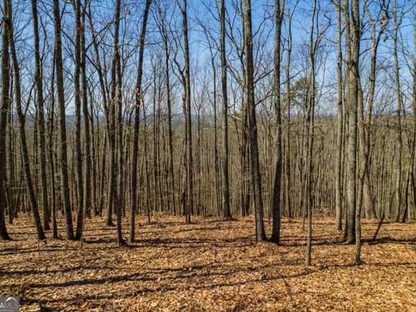 LOT 35 Heatherwood Way, Talking Rock, GA 30175