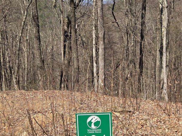 164 Wilderness Creek Way, Murphy, NC 28906