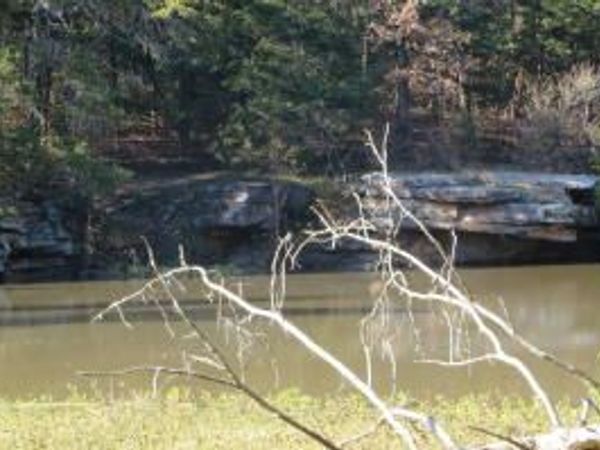 W Highway 64, London, AR 72853