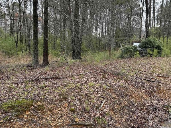 Lot 10, 0.95 ac Dry Creek Road, Cleveland, AL 35049