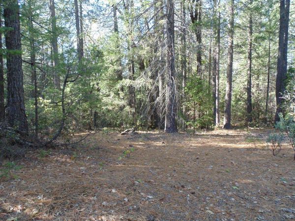 35-Acres Balderson, Georgetown, CA 95634