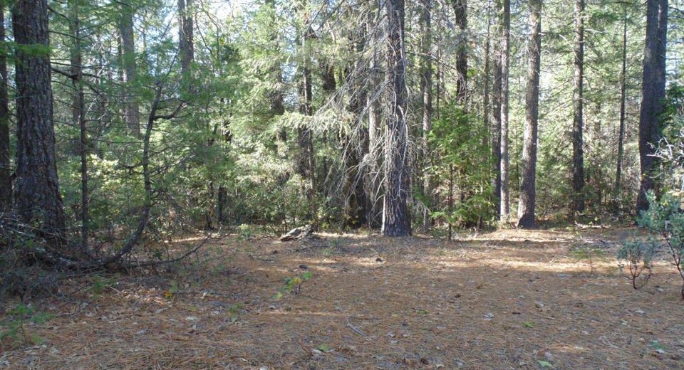 35-acres Balderson, Georgetown, CA 95634 Photo