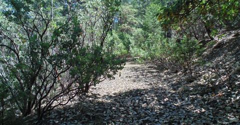 35-acres Balderson, Georgetown, CA 95634 Photo