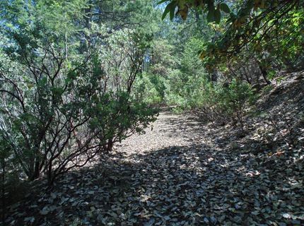 35-acres Balderson, Georgetown, CA 95634 Photo