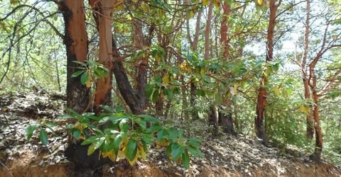 35-acres Balderson, Georgetown, CA 95634 Photo