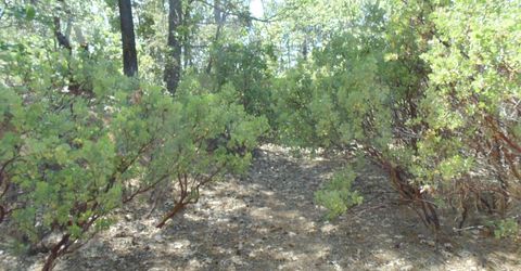 35-acres Balderson, Georgetown, CA 95634 Photo