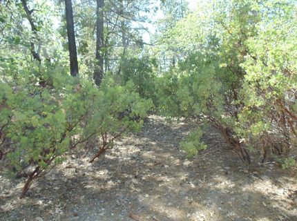 35-acres Balderson, Georgetown, CA 95634 Photo