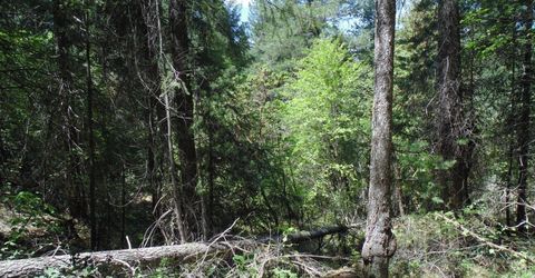 35-acres Balderson, Georgetown, CA 95634 Photo