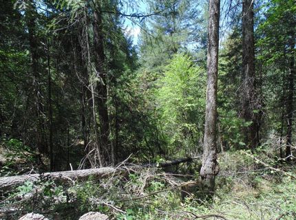 35-acres Balderson, Georgetown, CA 95634 Photo