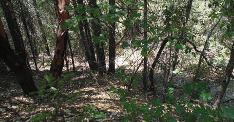 35-acres Balderson, Georgetown, CA 95634 Photo