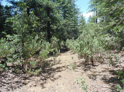 35-acres Balderson, Georgetown, CA 95634 Photo