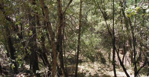 35-acres Balderson, Georgetown, CA 95634 Photo