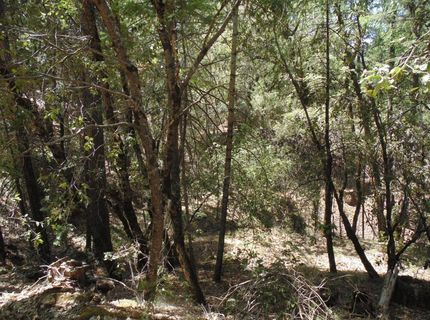 35-acres Balderson, Georgetown, CA 95634 Photo