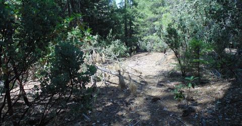 35-acres Balderson, Georgetown, CA 95634 Photo