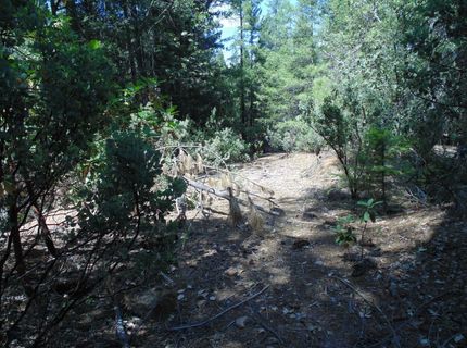 35-acres Balderson, Georgetown, CA 95634 Photo