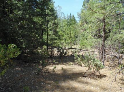 35-acres Balderson, Georgetown, CA 95634 Photo