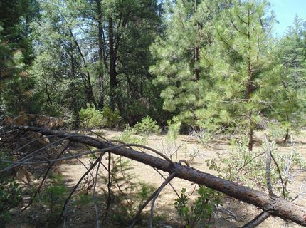 35-acres Balderson, Georgetown, CA 95634 Photo