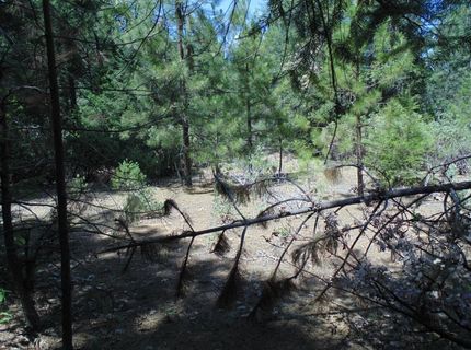 35-acres Balderson, Georgetown, CA 95634 Photo