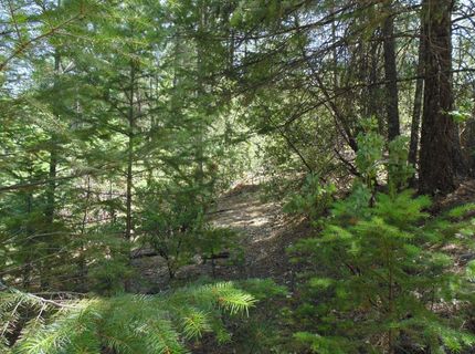 35-acres Balderson, Georgetown, CA 95634 Photo