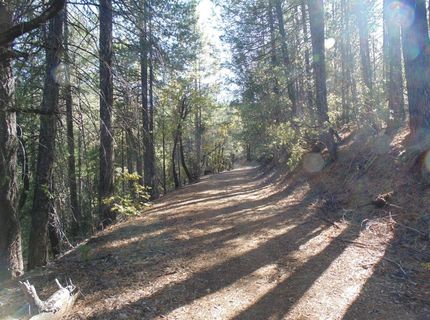 35-acres Balderson, Georgetown, CA 95634 Photo