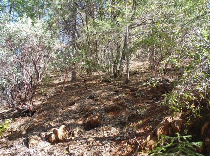 35-acres Balderson, Georgetown, CA 95634 Photo