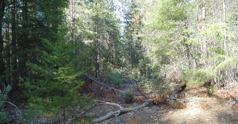 35-acres Balderson, Georgetown, CA 95634 Photo